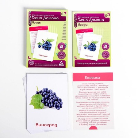 Training cards according to the method of Glen Doman "Berries", 12 cards, A6, in the box-1