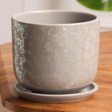 Pit Flower python gray 0.8 l