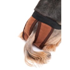 Cowards for dogs are reusable, m (waist girth 29-48 cm, depth 33 cm), brown