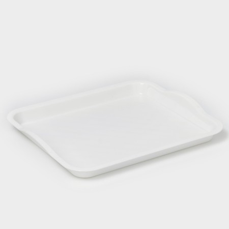 Tray, universal, 25 × 29 cm, white color