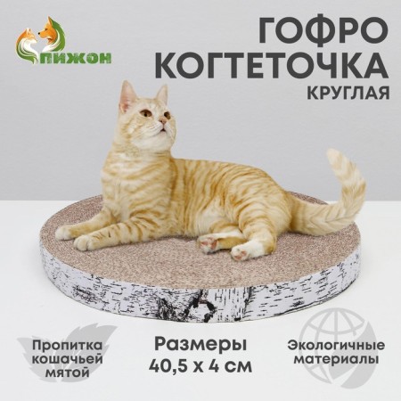 Corpushes "Pigzon" High Round "Birch Birch", with impregnation, 40.5 x 4 cm