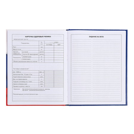 Diary for grades 5-11, 48 sheets of "Russian schoolchild No. 4", hard cover, glossy lamination, block 60 g/m2-11