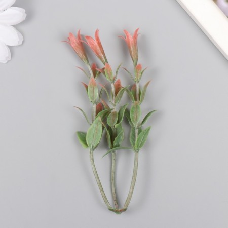 Artificial plant for creativity "Hippeastium" set of 6 pcs pink 11 cm-1