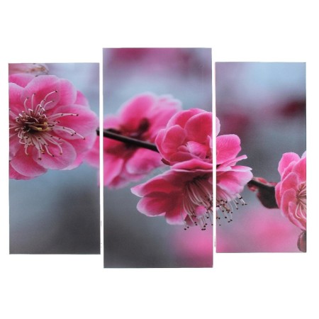 Modular picture "Sakura flowers" (2-25x52; 1-30x60) 60x80 cm