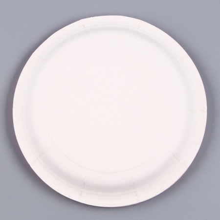 A disposable paper plate "Boy or Girl", 18 cm-3