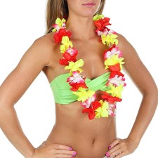 Hawaiian necklace 