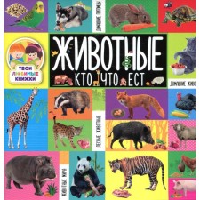 Animals. Who eats what