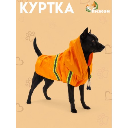 Dog jacket with lining, size M (ds 30, og 41 cm, weight 4-6 kg), orange
