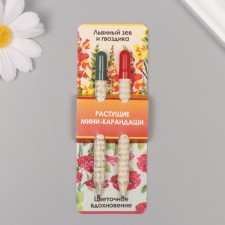 Growing gift pencils Mini 
