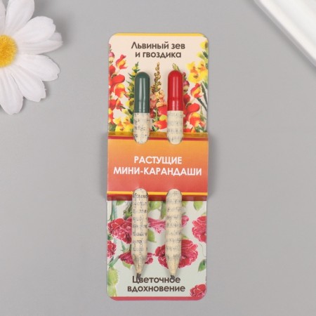 Growing gift pencils Mini "Lion Zev + Clove" set 2 pcs.