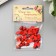 Decor for creativity tree "God's cow" set of 38 pcs 1.3x1.1 cm