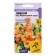 Seeds with Levka Katz "Apricot Miracle", 8 pcs.