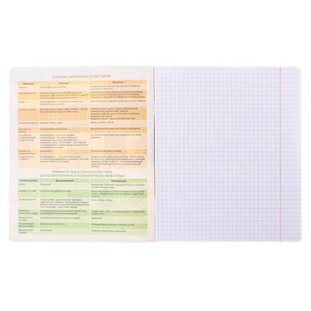 Subject notebook, 36 sheets, cage, biology, erichkrause "Timeline", coated cardboard, Blok Offset 100%, information block-2