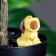 Puppy irrigator for indoor and garden plants Kungur ceramics, 30ml, 8.5cm, mix
