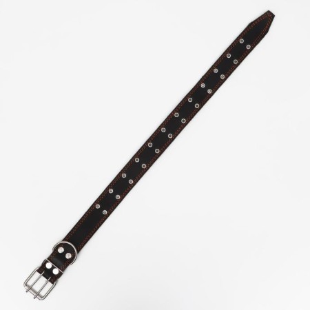 Collar combined leather/tarpaulin, dimensionless, 83 x 4.5 cm, Osh 20-70 cm, black-2
