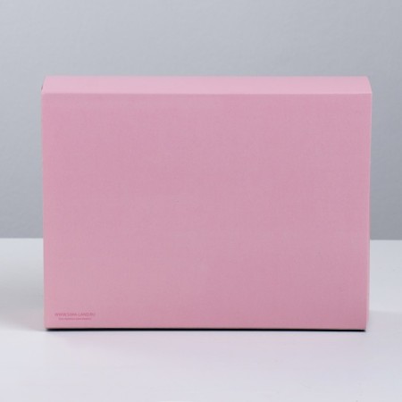 Confectionery box, packaging "Little Joy", 20 x 15 x 5 cm-3