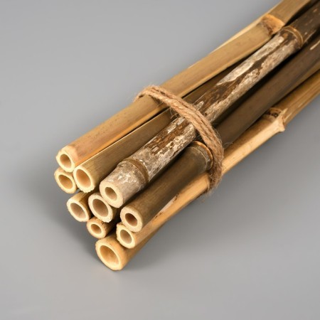 Decorative bamboo 40 cm, 10 pcs-2