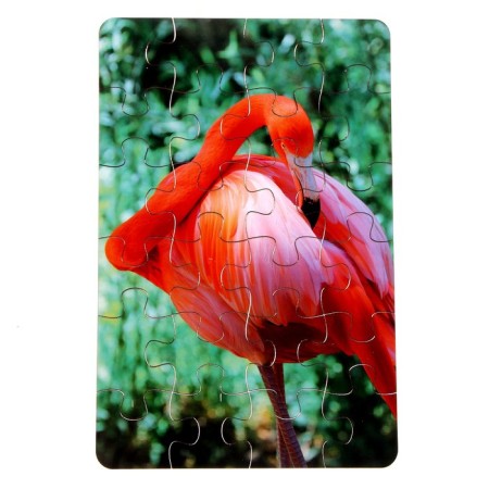 Puzzle series Flamingo Flaming, 24 details, size - 28 × 18.5 cm-1