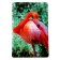 Puzzle series Flamingo Flaming, 24 details, size - 28 × 18.5 cm
