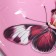 Diary A5, 100 sheets soft region. SOFT-Tach "Butterfly"