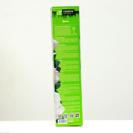 Boeing Rosa seedling, spring 2024, 1 pc.-2