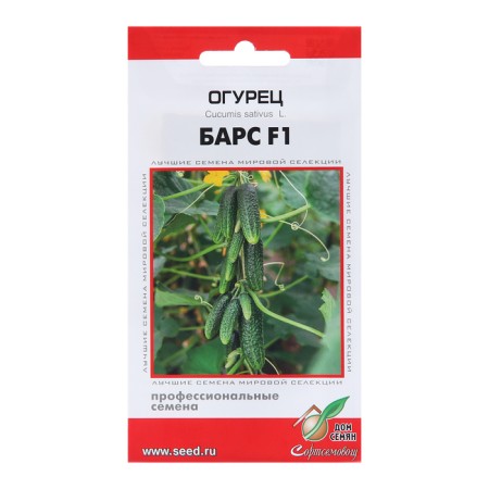 Cucumber seeds "Bars F1", 6 pcs