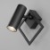 Turro lamp, 10W LED, 800LM, 4200K, black color
