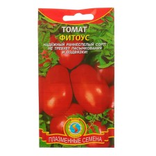 Seeds Tomat 