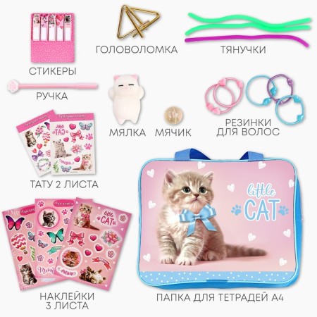 Gift set of the schoolboy "Kotik", 13 subjects-1