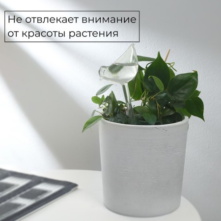 Auto -polywings for indoor plants, PVC, "bird", Greengo-3