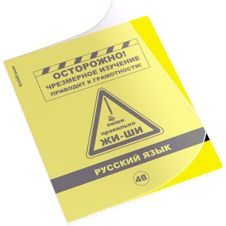Subject notebook, 48 sheets, ruler, Russian language, Erichkrause "BENFORMED", plastic cover silk-screen cover, Bloc Offset Beliece 100%, information block