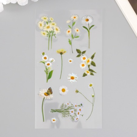 Stickers plastic "chamomile" set of 6 sheets 10x18 cm-2