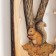 Panel Interior tree "Squirrel with reserves" 12x0.7x19 cm