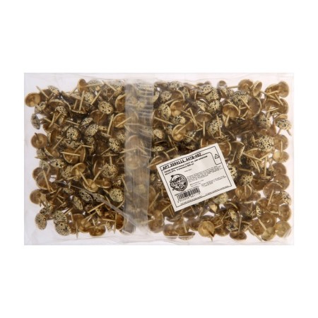 Tundra nails, decorative, 11x17 mm, antique gold, 500 pcs-4
