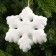 Snowflake LED figure 15 cm, phlock, batteries CR2032x2 (not complete), glow warm white