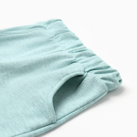 Costume: T-shirt and shorts crumb I Dino, height 62-68 cm, blue/white-3