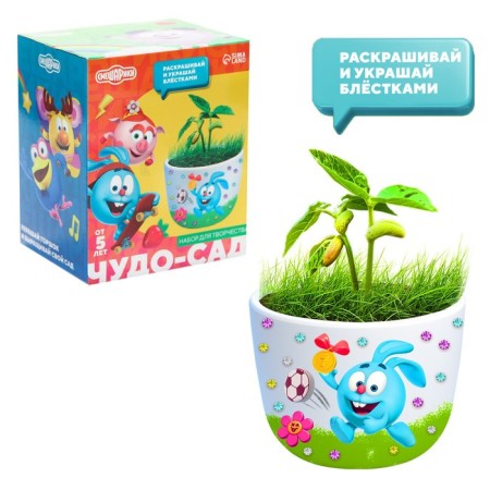 Set for creativity and experiments "Miracle-garden, grow grass" Smeshariki, germinar-2