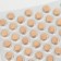 A complex of extracts with a dwelling "for your kidneys", 40 tablets of 100 mg