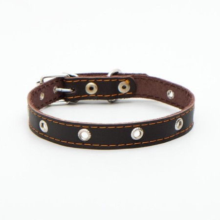 A single -layer leather collar with corrugated eyelets, dimensionless, 50 x 2 cm, brown-1
