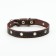 A single -layer leather collar with corrugated eyelets, dimensionless, 50 x 2 cm, brown
