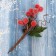 Decor "Winter Dreams" red berries, 13 cm