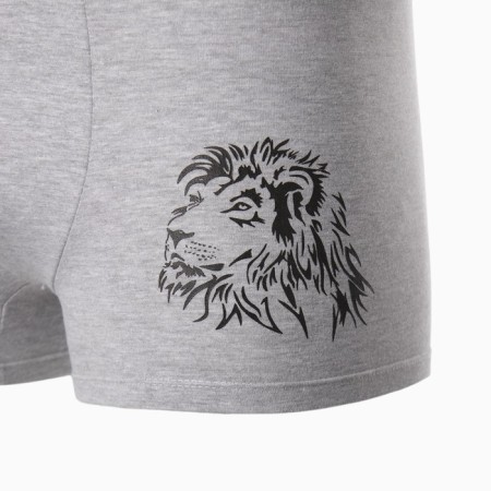 Panties men's boxers "lion", color gray melange, size 56-6