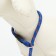 Collar - dog noisy, 0.8 x 45 cm, blue -red