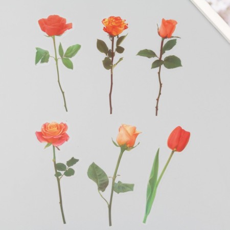 Plastic stickers "Flowers and quotes. Yellow-orange" set 12 pcs 8.5x21.5x0.2 cm-4