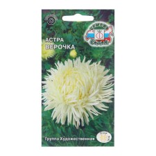 Flowers of Astra 