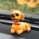 Dog on a car panel shocking his head, SP15