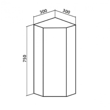 The cabinet of the hinged "Credo 30" suspended, corner, with a mirror-2