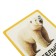 Developing cards "Animals", 64 cards