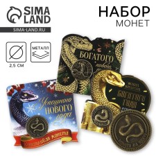 New Year's Coin 