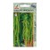 Seeds amaranth caustly green 0.1 g*